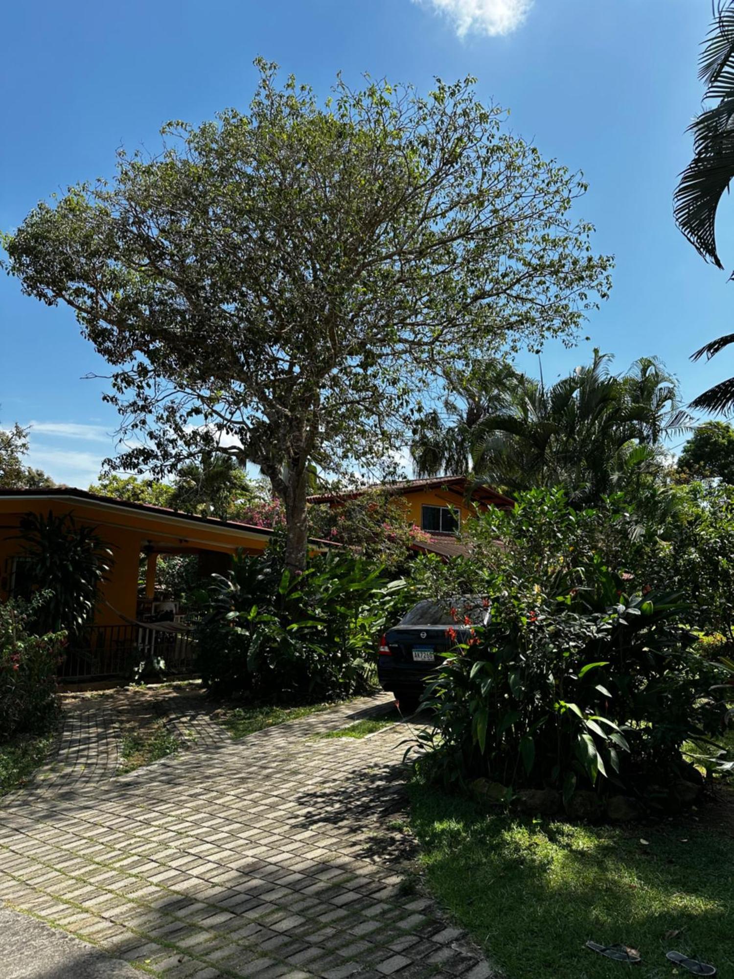 A Piece Of Paradise San Carlos Exterior foto